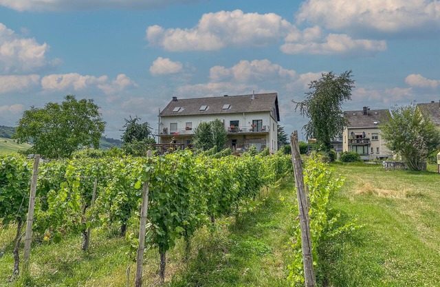 Aufenthalt beim Winzer direkt an der Mosel
