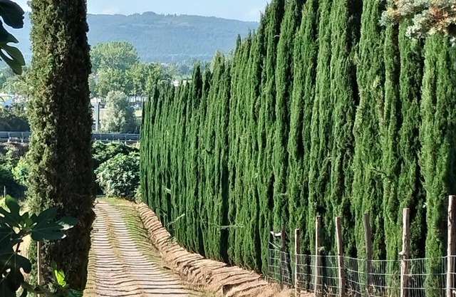 Stay in the countryside a stone's throw from the spa