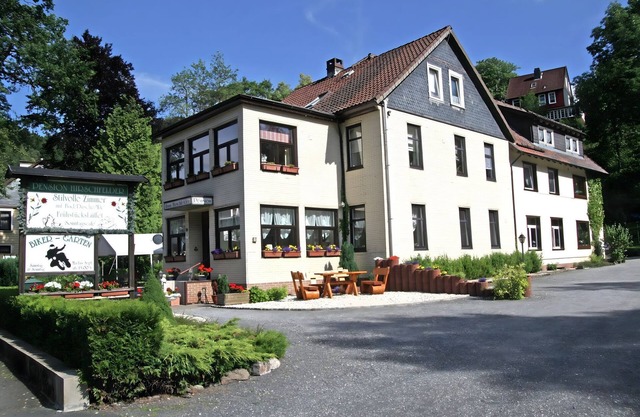 Ferienwohnung in Wildemann