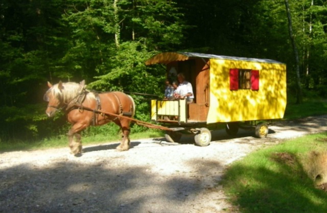 Aufenthalte in Wohn MIT PFERD „DISCOVERY VAL D LOVE“ und Gästezimmer