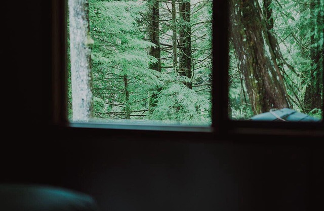 Steller's Jay Retreat — a short stroll to Chesterman Beach! Dog-friendly.