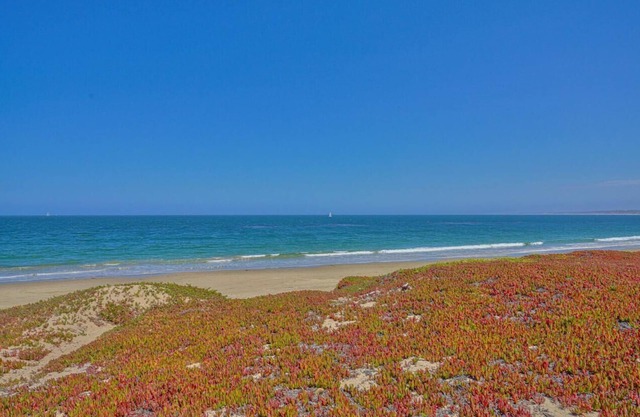 Steps from the Beach and Restaurants with 2 Masterbedrooms