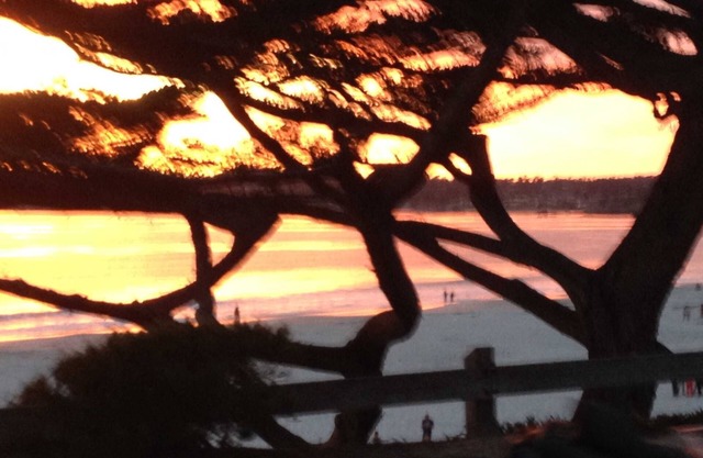 Schritte zum Carmel Beach, im goldenen Viereck. Der perfekte Ort!