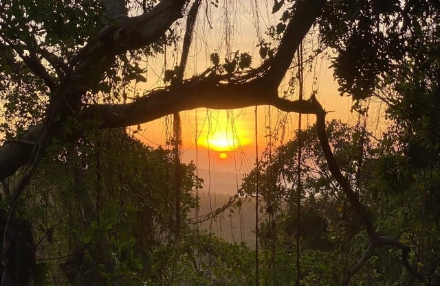 Jungle, waterfall, sea view, 5 minutes from beach, lap pool & gym. Bird watching