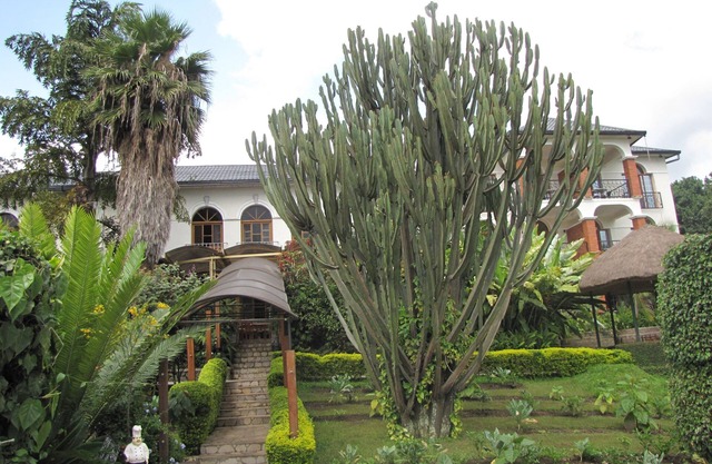 Stipp Hotel Gisenyi