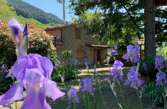 Steinhaus im Herzen der Toskana mit großem Garten und Pool