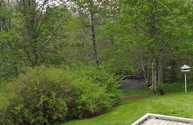 Stoneybrook House - Historisches Anwesen auf 1,7 Hektar Land