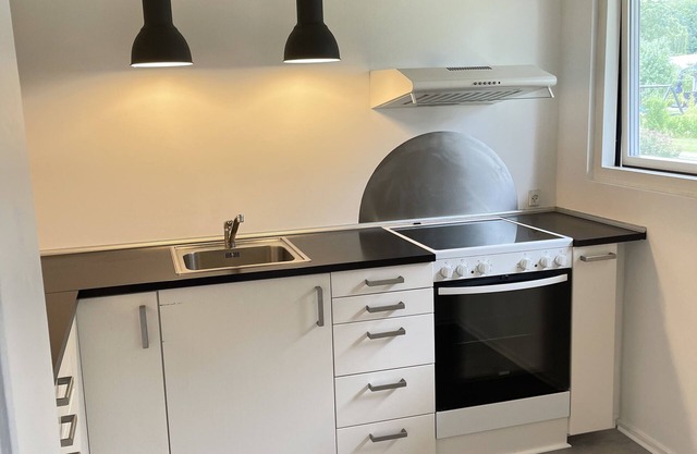 Stor Dejlig og Hygge Lejlighed, 2,5 km fra Aalborg Centrum