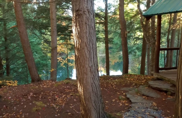 Stowe Log Cabin Abenteuer!