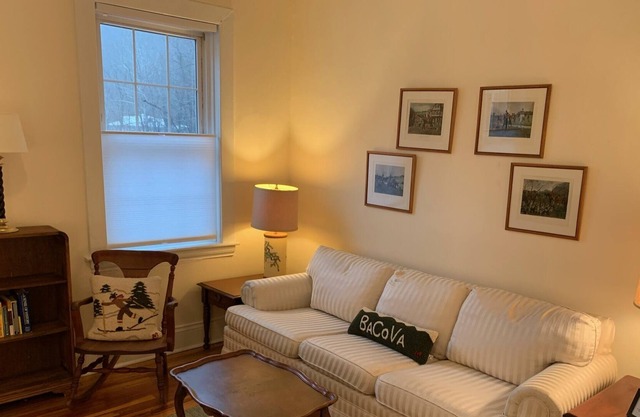 Stream View Apartment in the Heart of Hot Springs