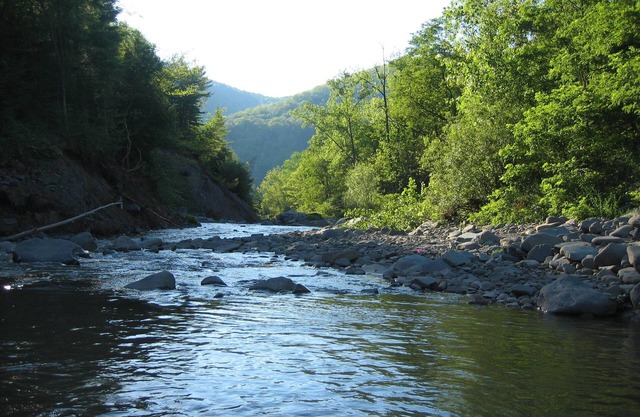 Stream Catskill Mountain House
