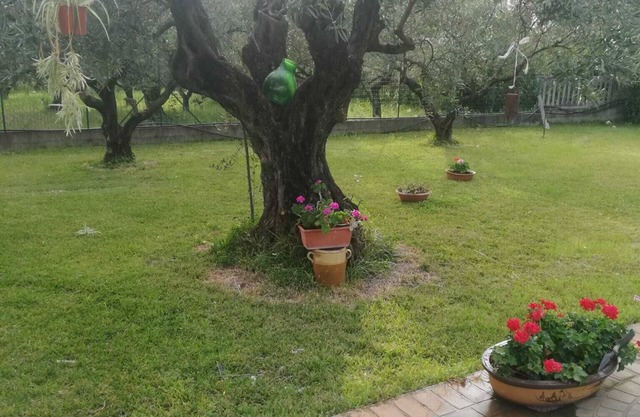 STRUTTURA DI NUOVA COSTRUZIONE CON ANNESSA PISCINA PRIVATA