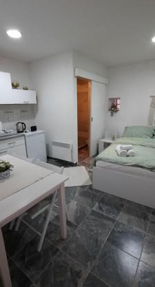 Studio apartman Centar