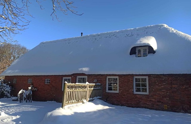 Einzimmerapartment 'Ferienwohnung Blauer Leuchtturm' mit privater Terrasse