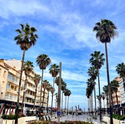 Studio côté plage tout équipé vue sur le Canigou