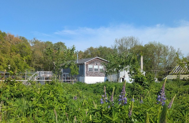 Studio guesthouse on our farm in beautiful South Westport.