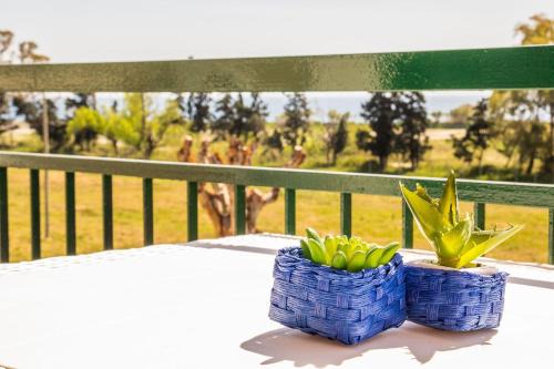 Studio für 4 Personen ca 30 qm in Chianchitta-pallio, Sizilien Ostküste von Sizilien