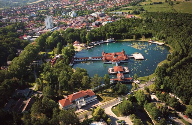 Studio in der Nähe von Weinberg Hévíz-Egregy mit Internet