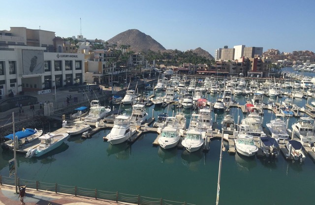 Studio Suite at Marina Cabo Plaza