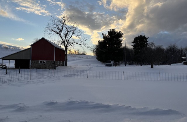 Studio w/kitchen on Alpaca farm Sodus Bay, Wine trails & Brantling ski slope