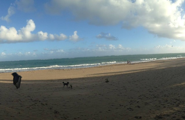Studio @ White House Am Strand, mit viel Sonnenlicht und frischer Luft!