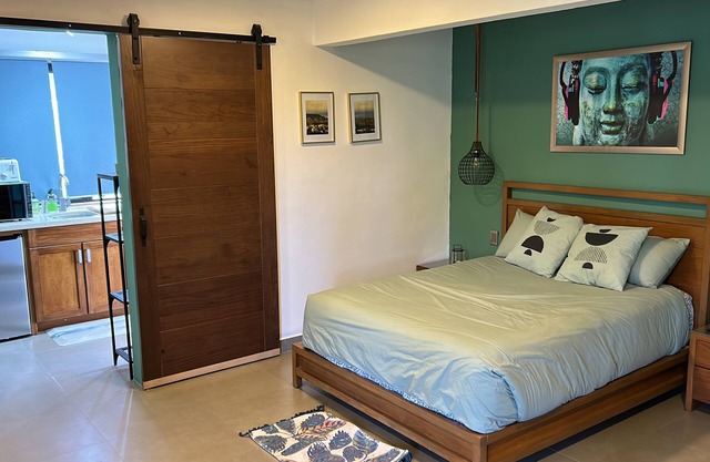 Study in the center of TODOS SANTOS