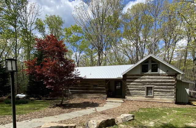 Stumphouse Cabin in der Nähe von Stumphouse Mountain Bike Park ~ Authentische Blockhütte