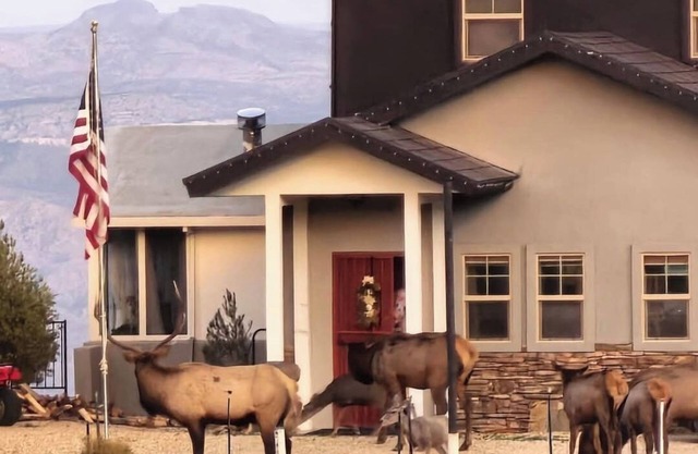 Stunning 3 bedroom walk out basement above Kingman AZ in the Hualapai Mountains