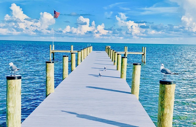Atemberaubende Wohnung mit Balkon / Pool im Oceanfront Building im schönen Islamorada!