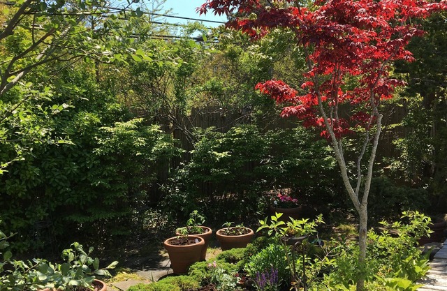 Ein atemberaubender und charmanter privater Fire Island Pines Retreat!