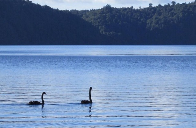 Atemberaubende Lake House Retreat
