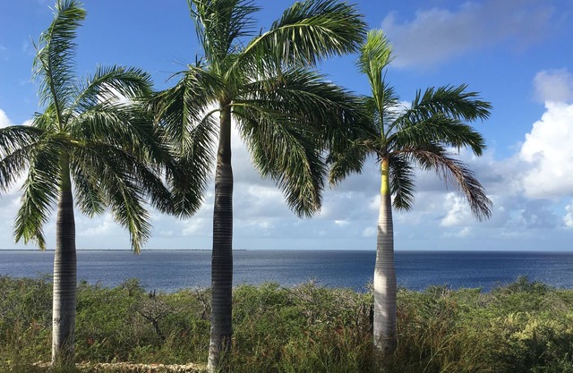 Atemberaubende Villa am Meer, direkter Zugang zum Meer, privates Riff, umgeben von Natur