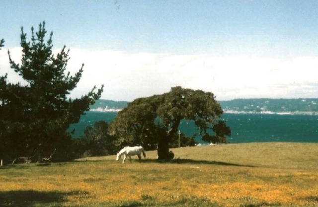 Atemberaubende Ranch mit Meerblick