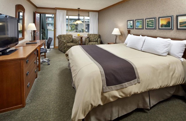 Stunning Seaside Cliffs & Beaches Nearby | Convenient Room w/ Sofa bed