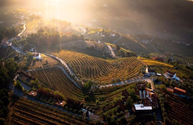 Hervorragende Aussichten in Douro 1