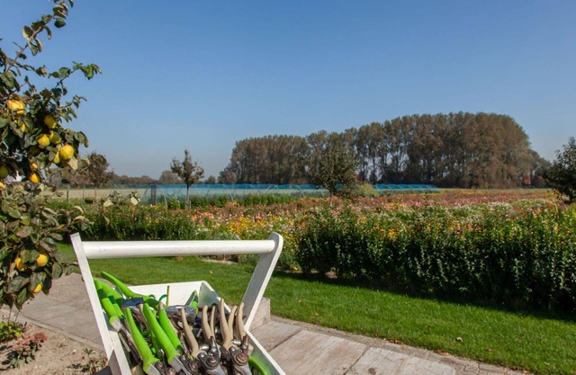 Schönes Ferienhaus für 2 Gäste mit W-LAN, TV, Terrasse und Parkplatz