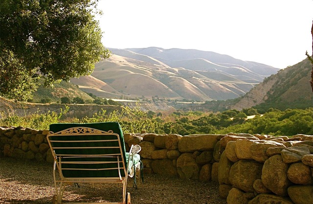 Stunning wine country estate with pool, vineyard, expansive vistas & more