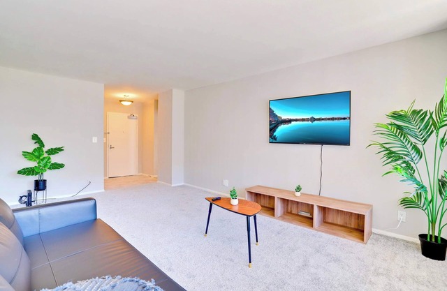 Stylish & Spacious Apt Perfect to Relaxation Weeks