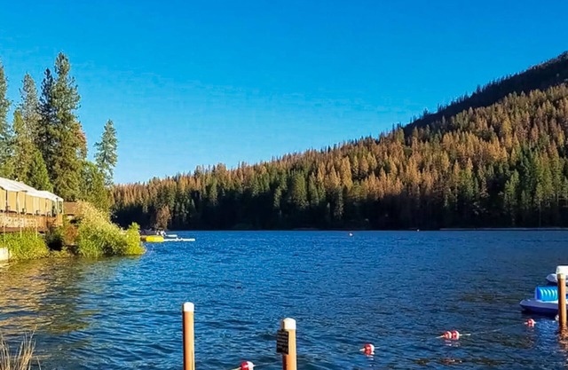 Stylish cabin in Mariposa Valley, close to hiking, fishing, & wineries