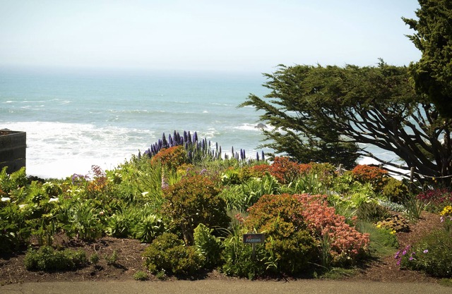 Stilvolles Cottage am Wrights Beach - Blick auf das Meer, die Gärten und die sanften Hügel