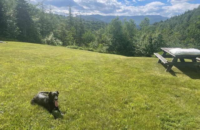 Sugarbush Solace: 1-bedroom hideaway or launchpad for adventure - your choice!