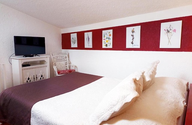 Suite 3C, Jacaranda, Garden House, Wewlcome to San Angel