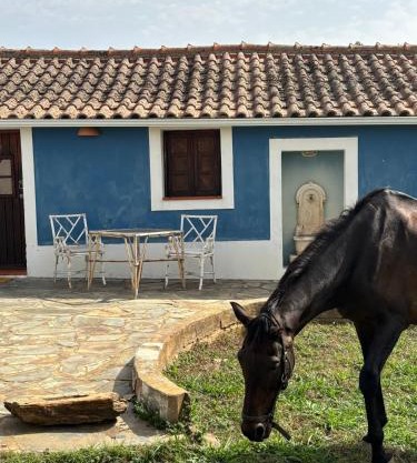 Suite no campo