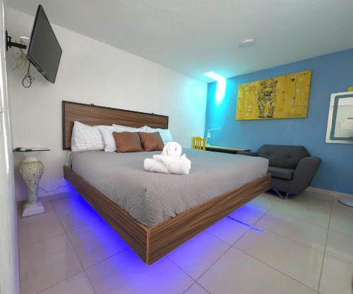suite planta alta
