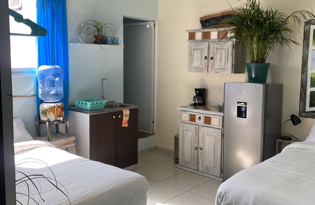 "Suite Serenity"- NEW Studio in PRIME location.10-minute walk to everything PV!