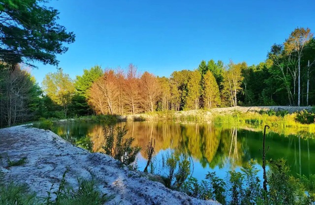 Summer Farmhouse-Hunting, Stargazing, BBQ-Sleeps 8