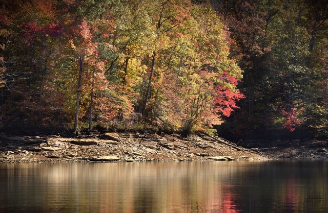 SUMMER SKIES AND HOMEMADE PIES AT DALE HOLLOW LAKE
