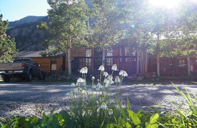 Sommer in den Bergen