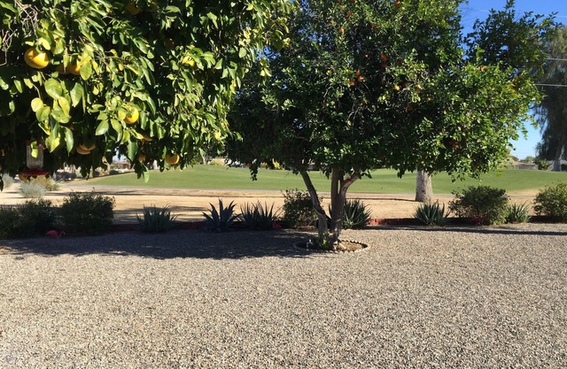 ARIZONA Golfplatz Ansichten in Sun City, 55 + Erwachsenen-Community