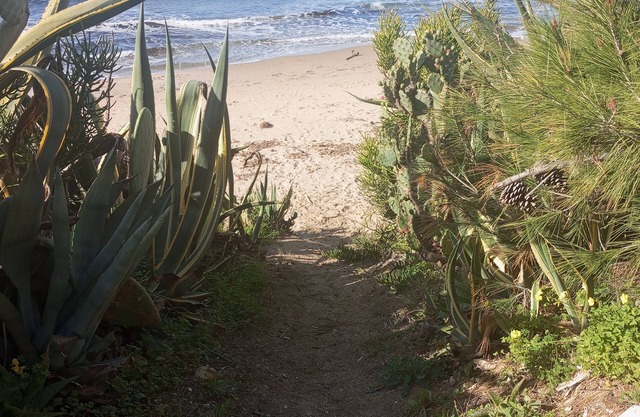 Sun Sea Nature A